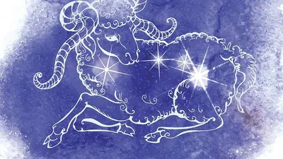 taurus