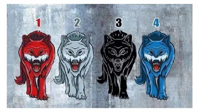 Tes Kepribadian : Pilihan Warna Serigala