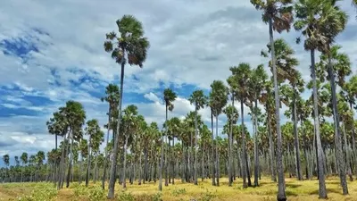 Taman Wisata Baluran.