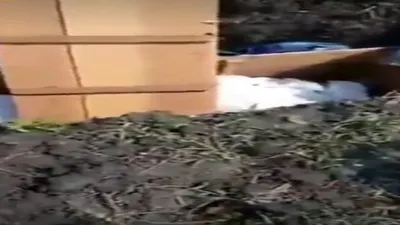 penampakan makam yang dibongkar di daerah Lamongan / @ndorobei.official