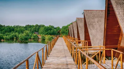 Taman Wisata Alam Mangrove di Jakarta.
