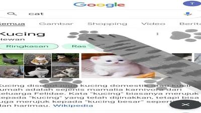 Game di Google  memperingati hari kucing sedunia 8 agustus 