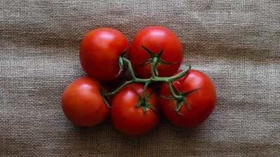 Tomat makanan yang baik untuk kulit/ Pixabay