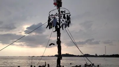 panjat pinang