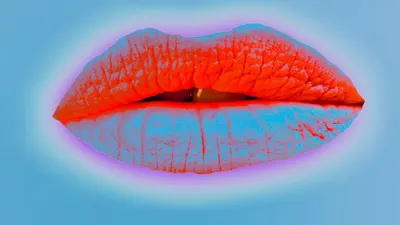 Bibir