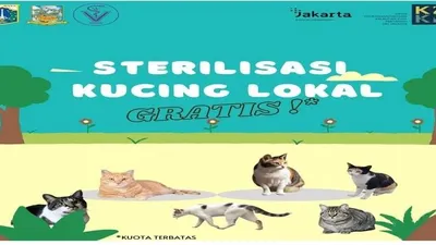 program sterilisasi kucing Gratis