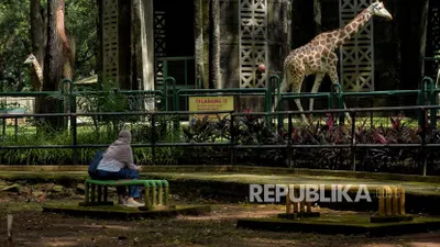 Ragunan Buka Sabtu Pekan Ini, Catat Ketentuan Ini Sebelum Berkunjung!
