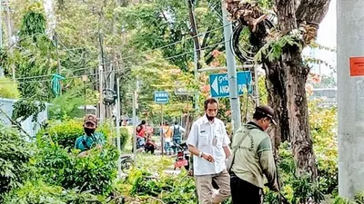 Satgas Sudin Pertamanan dan Hutan Kota Jakarta Pusat melalukan pemangkasan pohon rawan tumbang 