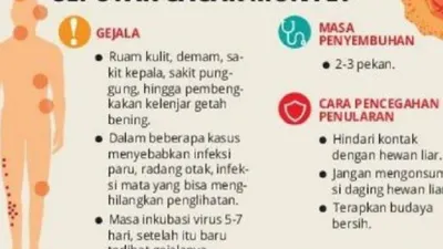 Gambar Seputar cacar monyet/Monkeypox virus