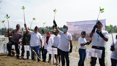 Penanaman Pohon Mangrove bank bjb oleh Gubernur Jawa  Barat Ridwan Kamil.