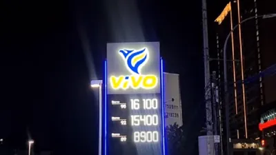 Vivo