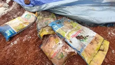 Beras Bansos yang dikubur di depok menyeret nama JNE