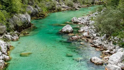 Ilustrasi Wisata Sungai/ Pixabay