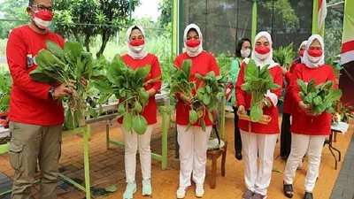 Tim Penggerak Pemberdayaan Kesejahteraan Keluarga Kota Administrasi Jakarta Selatan, melakukan Kegiatan Panen Raya di Agro Edukasi Wisata Ragunan