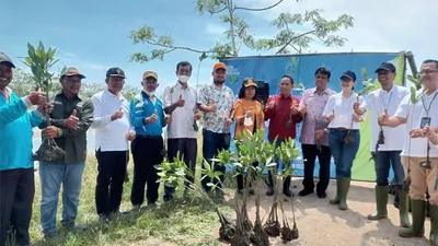 Penanaman Mangrove, Upaya PNM Melestarikan Ekosistem Laut di Medan