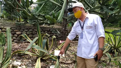 Asisten Manajer Konservasi Kebun Raya Bogor Junaedi saat menjelaskan tentang KTP pohon berbasis barcode. (Yogi Faisal)