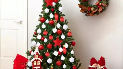 Mengenal Cemara, Pohon Perlambang Natal yang Mengandung Nilai-Nilai Tri Tunggal serta Kerohanian yang Sakral.