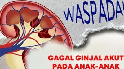 BPKM akan mendampingi korban gagal ginjal akut anak