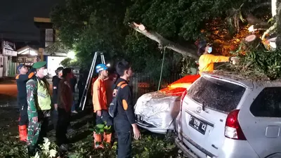Seharian Diguyur Hujan Dua Pohon Tumbang di Bogor, 4 Mobil Warga Jadi Korban