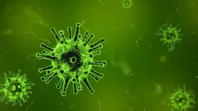 Ilustrasi virus Corona
