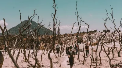 Deretan Gunung di Indonesia yang Jadi Tempat Upacara HUT RI, Ada Merapi hingga Papandayan