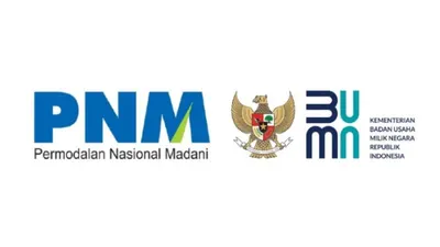 PNM BUMN