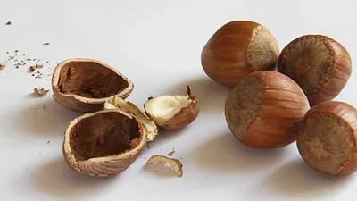 Manfaat kemiri bagi kesehatan (Canva / Nabila)
