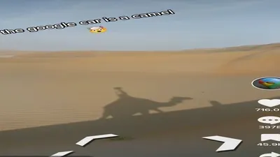 Viral Google Maps Gunakan Unta Berkamera di Gurun Pasir, Warganet Ngakak : Bakal Ada Waktu Tempuh dengan Unta