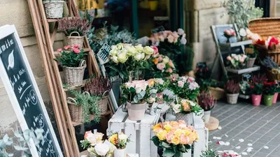 ilustrasi lowongan di toko florist