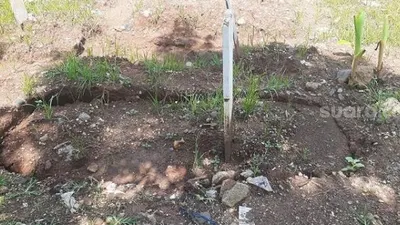 Penampakan makam korban Covid-19 di TPU Bambu Apus, Jaktim seusai digenangi banjir. (Suara.com/Yaumal)
