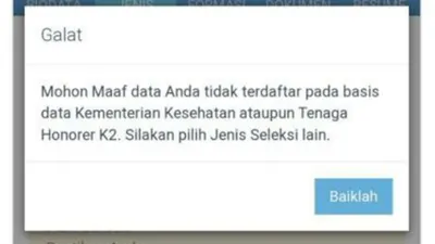 Ilustrasi kendala seleksi penerimaan PPPK Guru dan Tenaga Kesehatan Tahun 2022.