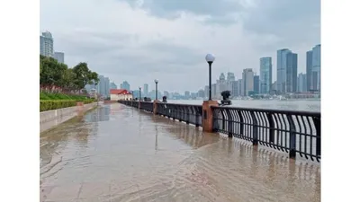 Waspada Banjir Rob! Catat 9 Wilayah Jakarta Utara yang Berpotensi Terdampak dan Persiapan Penanggulangannya