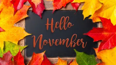 Kepribadian Orang yang Lahir Tanggal 4 November, Mereka Punya Keterampilan Organisasi yang Hebat