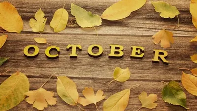 Karakter dan Sifat Orang yang Lahir di Bulan Oktober, Sulit untuk Tidak Iri dengan Kepribadiannya!