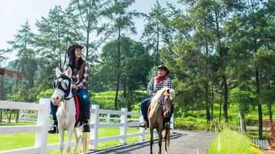 Cimory Dairyland (Dok. Isntagram)