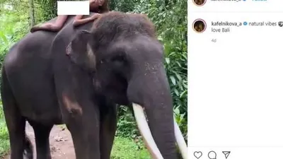 Alesya Kafelnikova, Model yang Dikritik karena Naik Gajah sambil Telanjang di Bali (instagram.com/kafelnikova_a)
