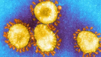 Ilustrasi. Virus corona jenis baru varian Omicron atau B.1.1.529 sudah terdikteksi di sejumlah negara. 