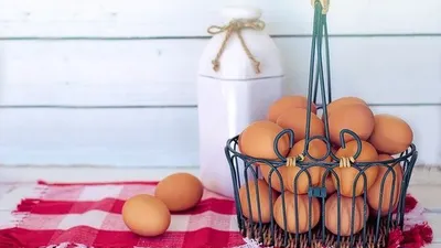Ilustrasi telur / Pixabay