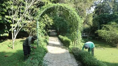 Petugas Kebun Raya Bogor saat melakukan perawatan terhadap sejumlah pohon dan tanaman. (Yogi Faisal)