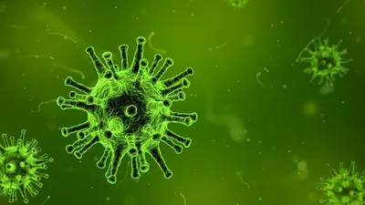 Ilustrasi virus / Pixabay