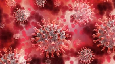 Lengkap! Ini Daftar Terbaru RT Zona Merah Covid-19 di Jakarta