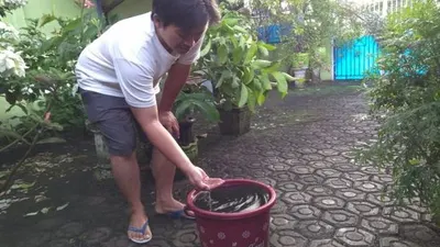 Penampakan Air Hujan Berwarna Hitam di Indramayu (Republika)