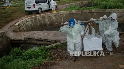 Dari 560 petak makam Covid-19, kini tinggal empat petak yang kosong di TPU Srengseng Sawah. Foto: Petugas menggunakan pakaian alat pelindung diri (APD) saat memakamkan jenazah pasien Covid-19 di TPU Srengseng Sawah, Jagakarsa, Jakarta (ilustrasi)