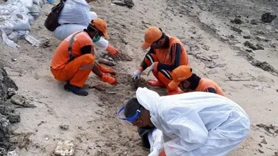Petugas gabungan membersihkan tumpahan minyak di Pulau Pari, Kepulauan Seribu.  Foto: Dok Pertamina