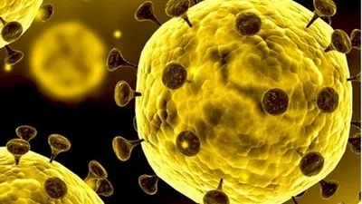 ilustrasi wabah virus corona/ shutterstock