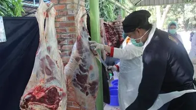 ilustrasi penanganan daging kurban/ dok Kementan