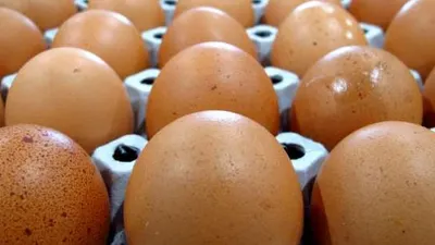 Sebagai ilustrasi telur. shutterstock