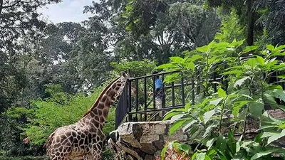 Selama pandemi Covid-19, Bandung Zoo dinyatakan tutup sementara. (Ayobandung.com)