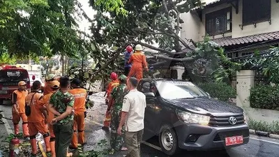 Petugas melakukan penanganan pohon tumbang di Perumahan Kebon Raya, Duri Kepa (Ayojakarta.com/Dhika Alam Noor)