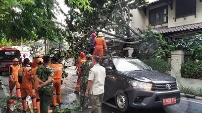 Petugas melakukan penanganan pohon tumbang di Perumahan Kebon Raya, Duri Kepa (Ayojakarta.com/Dhika Alam Noor)
